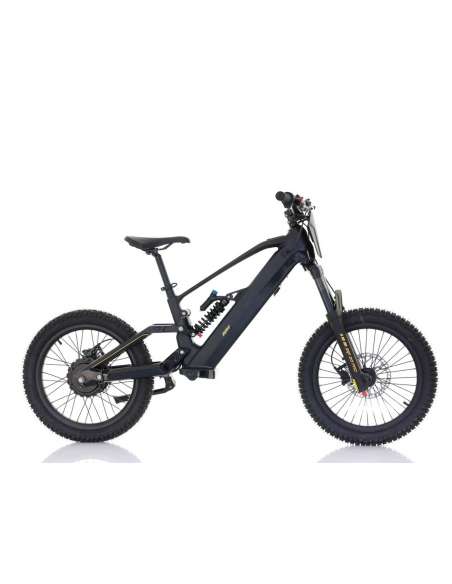 Roan RFN ZIP PRO 20” 1000W 48V bicicleta eléctrica