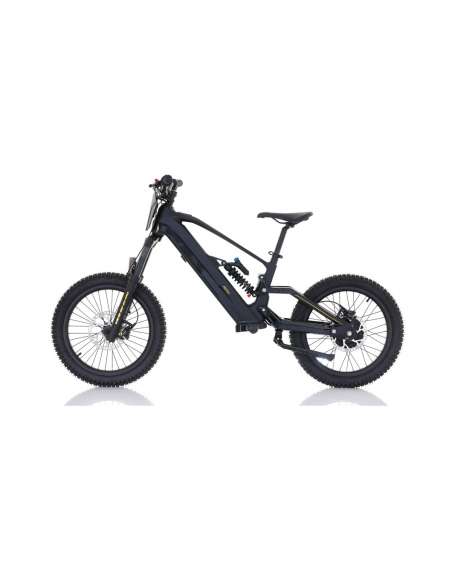 Roan RFN ZIP PRO 20” 1000W 48V bicicleta eléctrica