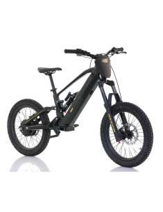 Roan RFN ZIP PRO 20” 1000W 48V bicicleta eléctrica