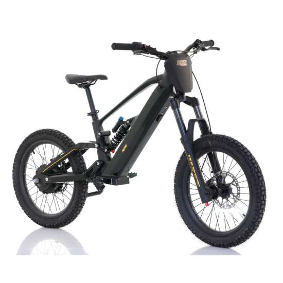 Roan RFN ZIP PRO 20” 1000W 48V bicicleta eléctrica