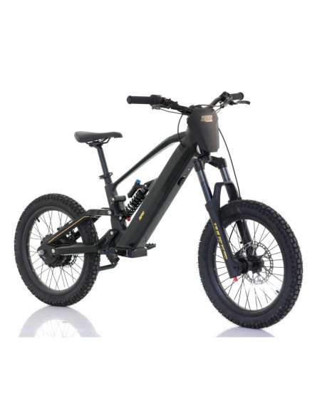 Roan RFN ZIP PRO 20” 1000W 48V bicicleta eléctrica