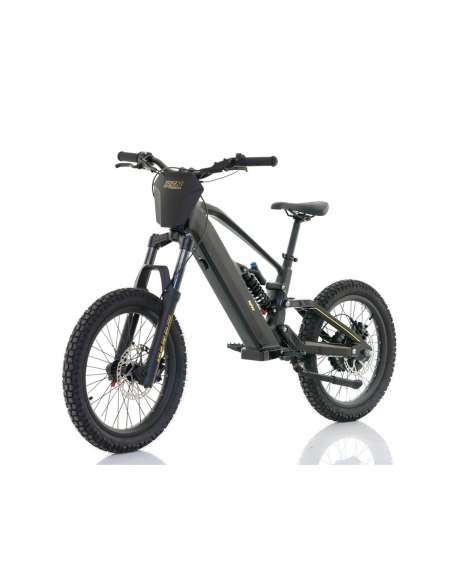 Roan RFN ZIP PRO 20” 1000W 48V bicicleta eléctrica