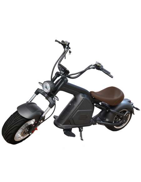 Scooter eléctrica E-Custom 49E