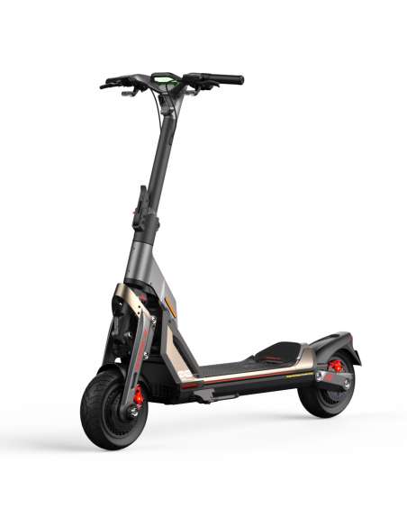 Segway KickScooter GT2P