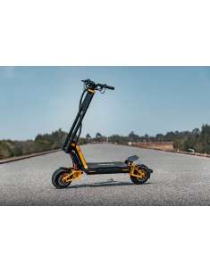 Inmotion RS 2