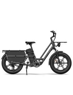 Fiido T2 Longtail Cargo E-bike 2