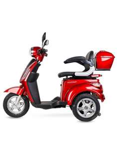 Scooter movilidad reducida... 2