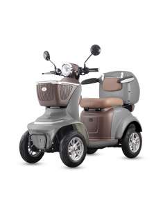 Scooter movilidad reducida Assistant L 1000W 2