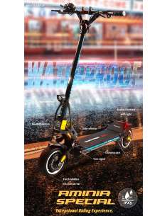 Dualtron Aminia Special 2