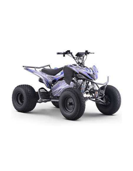 Quad eléctrico 1800W Dakar Roan R10 Brushless