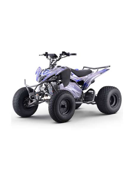 Quad eléctrico 1800W Dakar Roan R10 Brushless