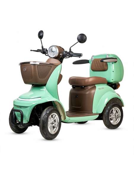 Scooter movilidad reducida Tekuon Assistant L 1000W