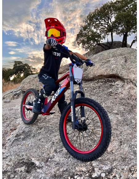 Bicicleta eléctrica Roan RXF Evo Racing 20"