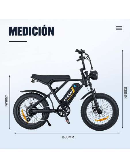 Koolux BK29 250W 48V 15Ah 20"