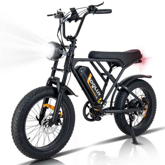 Koolux BK29 250W 48V 15Ah 20"