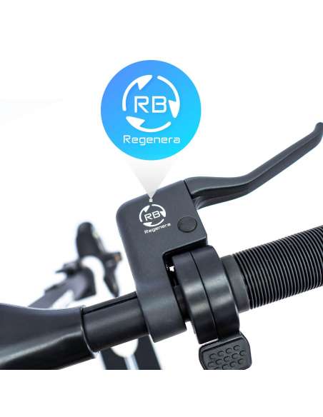 smartGyro Z-One 2 certificado
