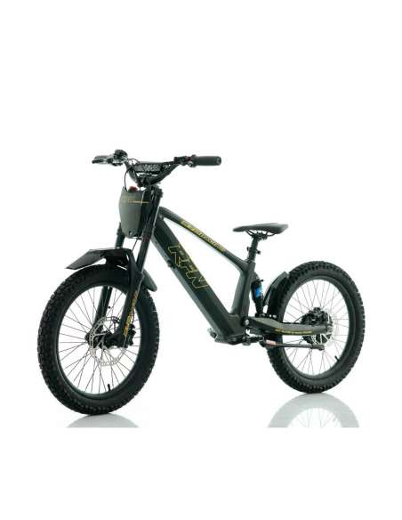 Bicicleta eléctrica Roan RXF / RFN Evo Racing 20"