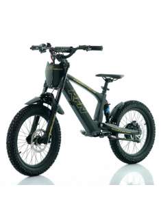 Bicicleta eléctrica Roan RXF / RFN Evo Racing 18" 2