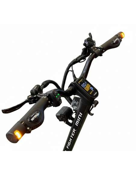 Teverun Fighter Mini 2025 Certificado