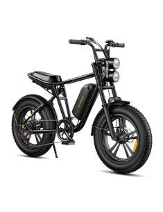 ENGWE M20