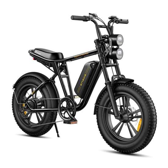 ENGWE M20