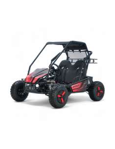 Roan Buggy eléctrico 1500W 60V 20Ah para niño