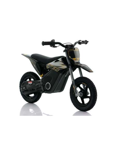 Roan RFN Warrior SX-E150 ninicross 150W 12”