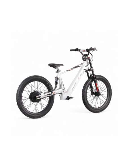 REXO RX24 1500W 48V 24”