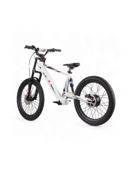REXO RX24 1500W 48V 24”