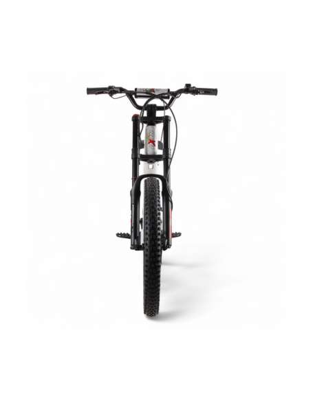 REXO RX24 1500W 48V 24”