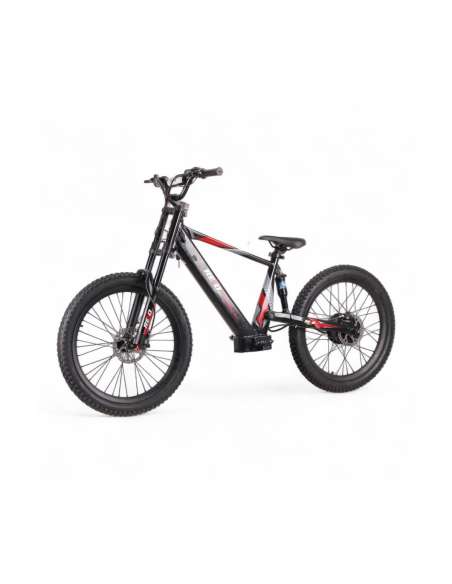 REXO RX24 1500W 48V 24”