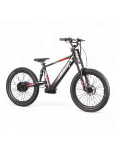 REXO RX24 1500W 48V 24” 2