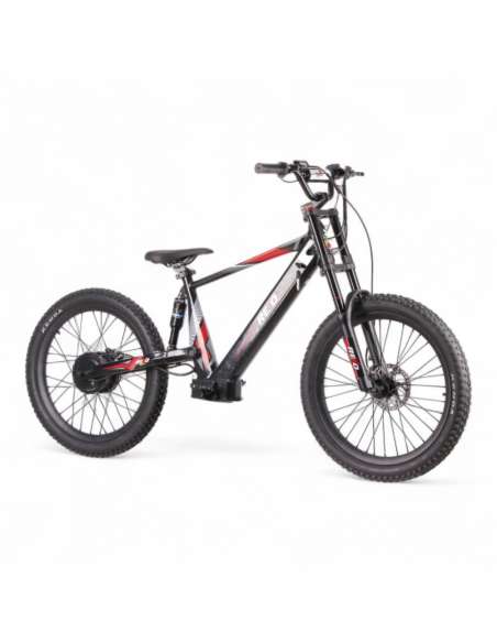 REXO RX24 1500W 48V 24”