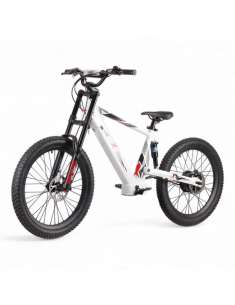REXO RX24 1500W 48V 24”