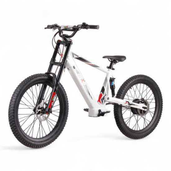 REXO RX24 1500W 48V 24”