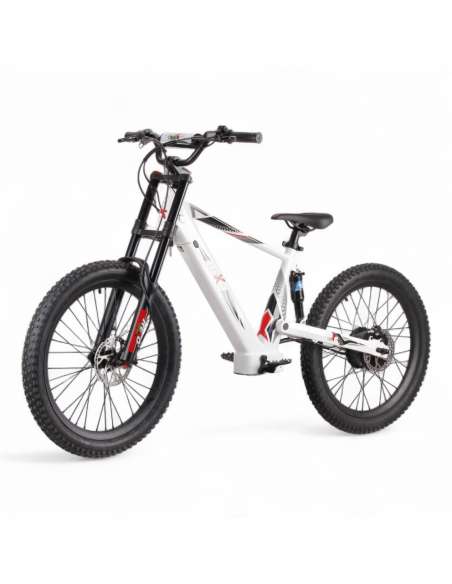REXO RX24 1500W 48V 24”