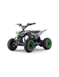 Roan Ratte miniquad eléctrico 1000W 36V motor brush 2