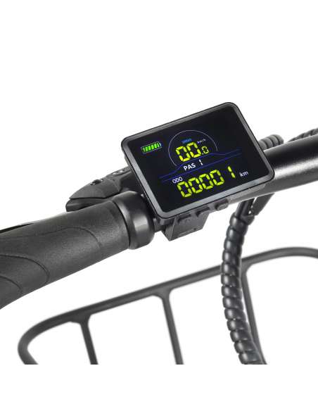 Youin Dallas fat bike plegable