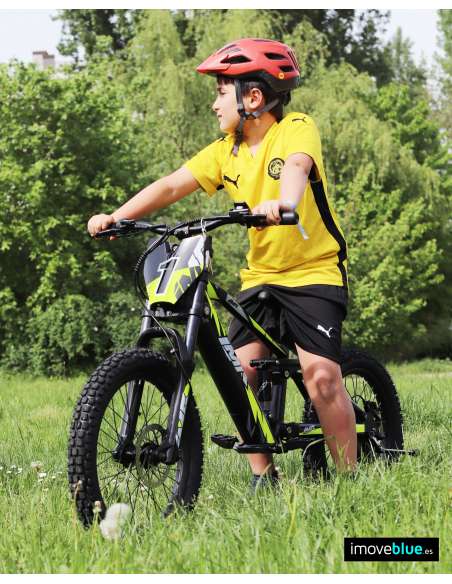 Bicicleta eléctrica IMR SHARK 20" 550W