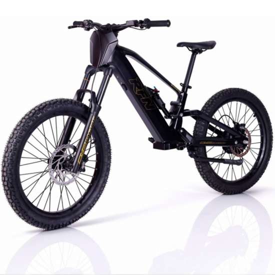 Roan RFN EVO PRO 24” 1000W 48V bicicleta eléctrica sin pedales