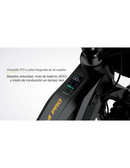 Roan RFN EVO PRO 24” 1000W 48V bicicleta eléctrica sin pedales