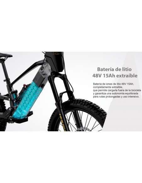 Roan RFN EVO PRO 24” 1000W 48V bicicleta eléctrica sin pedales