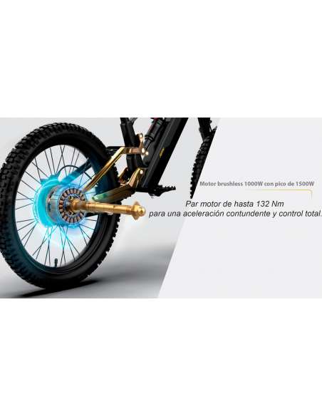 Roan RFN EVO PRO 24” 1000W 48V bicicleta eléctrica sin pedales