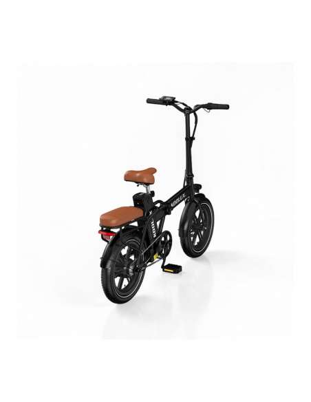 Koolux X10 250W 36V 13Ah 16”
