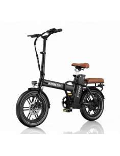 Koolux X10 250W 36V 13Ah 16”
